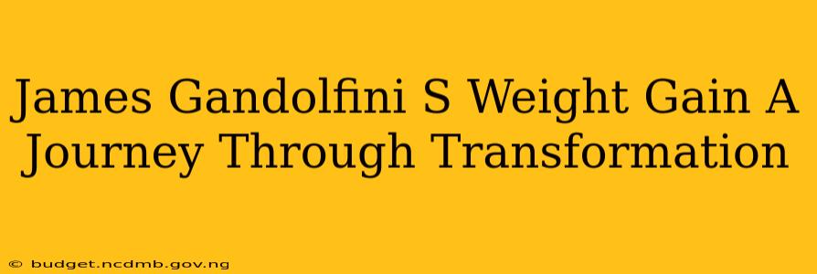 James Gandolfini S Weight Gain A Journey Through Transformation