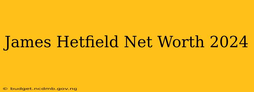 James Hetfield Net Worth 2024