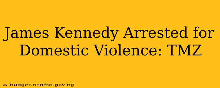 James Kennedy Arrested for Domestic Violence: TMZ