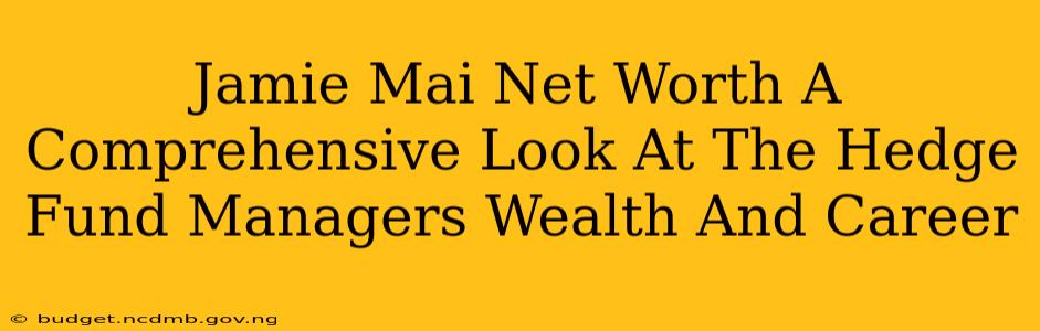 Jamie Mai Net Worth A Comprehensive Look At The Hedge Fund Managers Wealth And Career