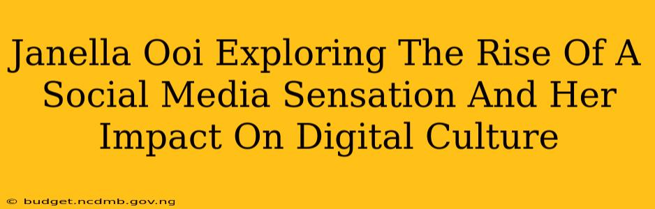 Janella Ooi Exploring The Rise Of A Social Media Sensation And Her Impact On Digital Culture