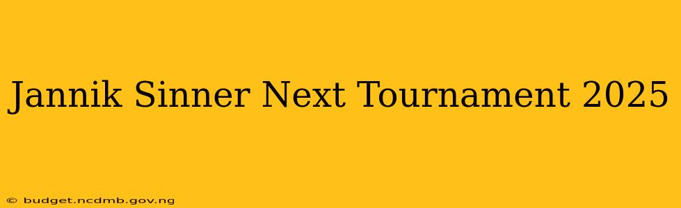 Jannik Sinner Next Tournament 2025
