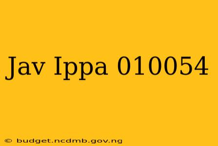 Jav Ippa 010054