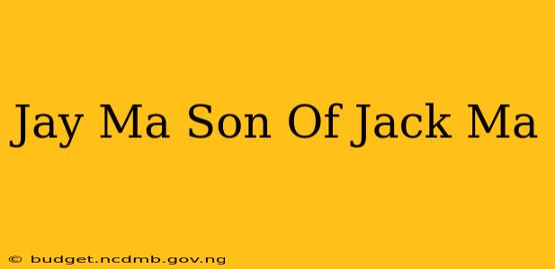 Jay Ma Son Of Jack Ma