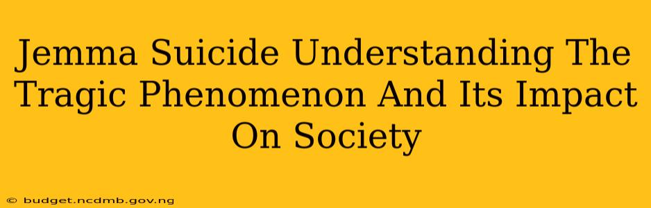 Jemma Suicide Understanding The Tragic Phenomenon And Its Impact On Society
