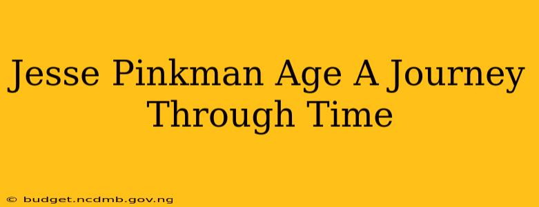 Jesse Pinkman Age A Journey Through Time