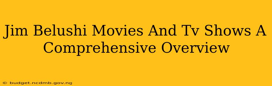Jim Belushi Movies And Tv Shows A Comprehensive Overview