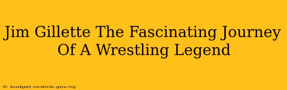 Jim Gillette The Fascinating Journey Of A Wrestling Legend