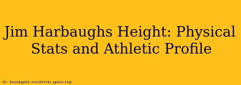 Jim Harbaughs Height: Physical Stats and Athletic Profile