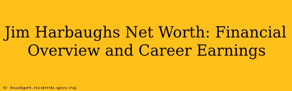 Jim Harbaughs Net Worth: Financial Overview and Career Earnings