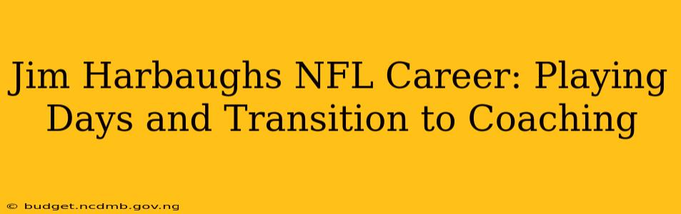 Jim Harbaughs NFL Career: Playing Days and Transition to Coaching