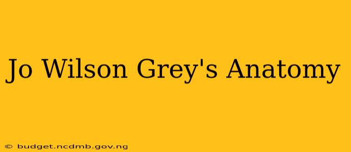 Jo Wilson Grey's Anatomy