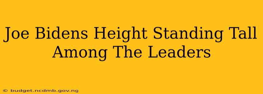 Joe Bidens Height Standing Tall Among The Leaders