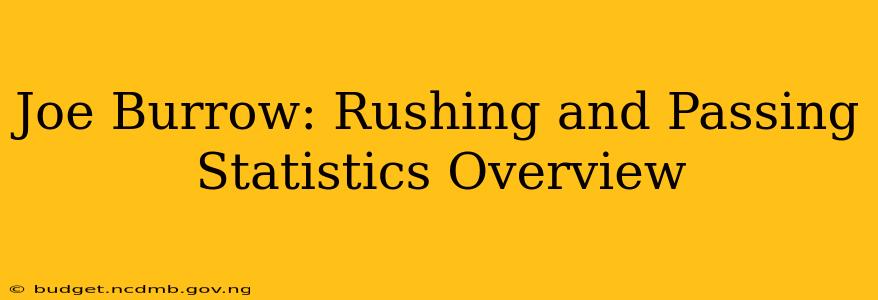 Joe Burrow: Rushing and Passing Statistics Overview