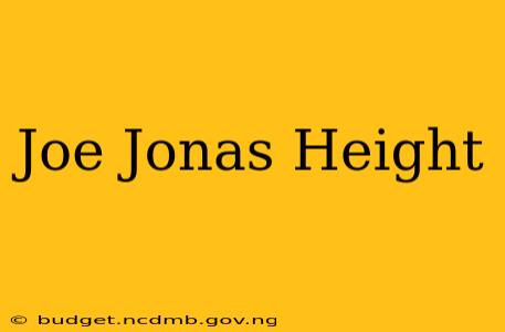 Joe Jonas Height