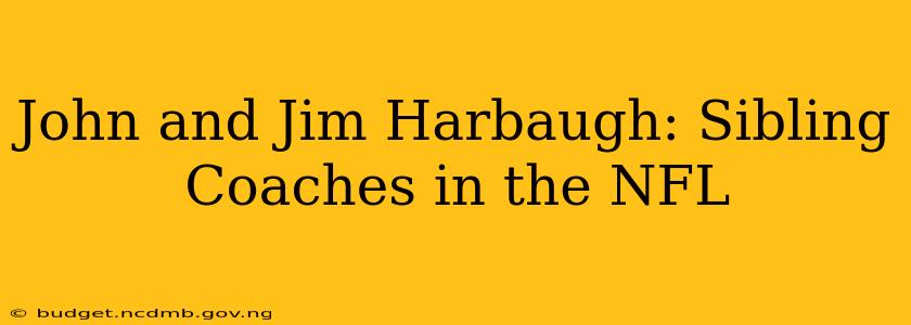 John and Jim Harbaugh: Sibling Coaches in the NFL