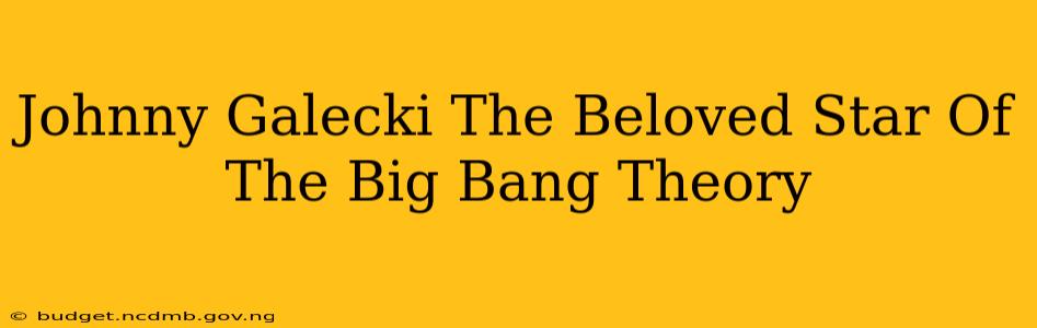 Johnny Galecki The Beloved Star Of The Big Bang Theory