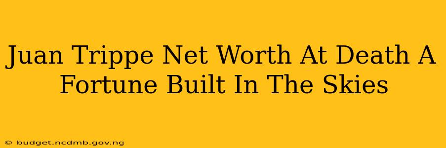 Juan Trippe Net Worth At Death A Fortune Built In The Skies