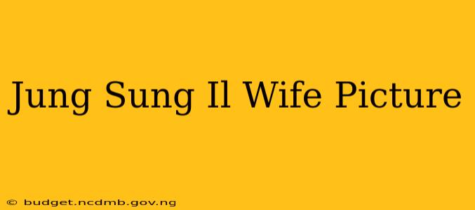 Jung Sung Il Wife Picture