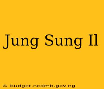 Jung Sung Il