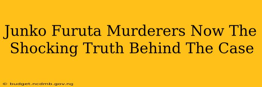 Junko Furuta Murderers Now The Shocking Truth Behind The Case