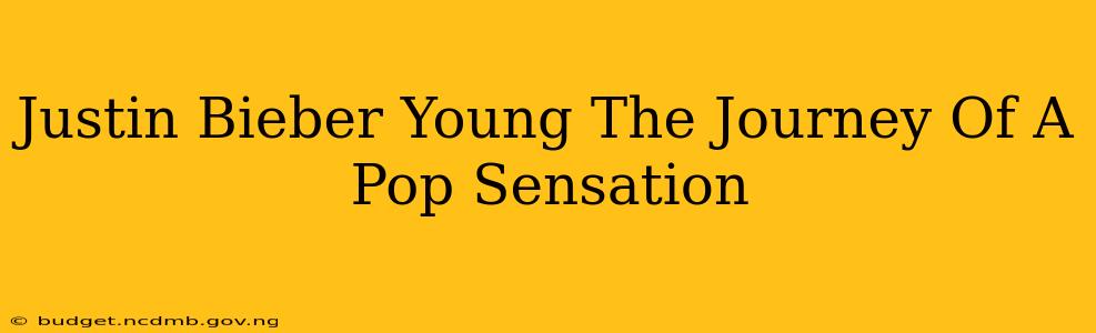 Justin Bieber Young The Journey Of A Pop Sensation