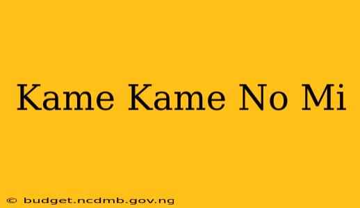Kame Kame No Mi
