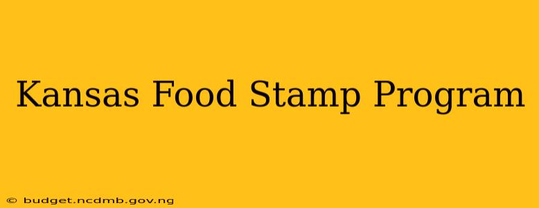 Kansas Food Stamp Program