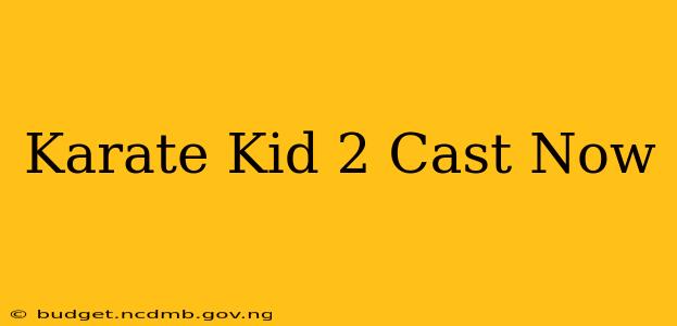 Karate Kid 2 Cast Now