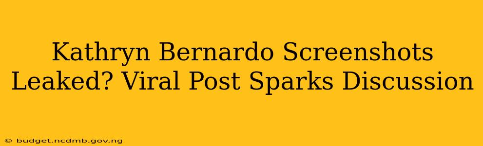 Kathryn Bernardo Screenshots Leaked? Viral Post Sparks Discussion