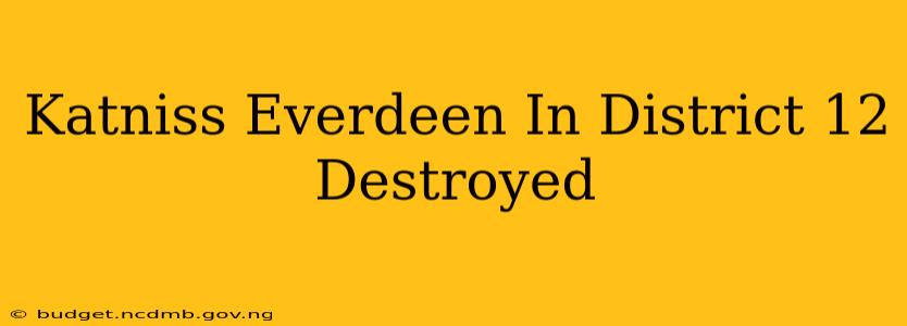 Katniss Everdeen In District 12 Destroyed