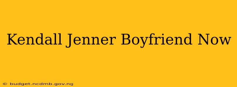 Kendall Jenner Boyfriend Now