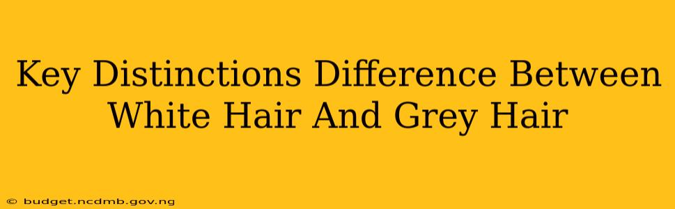 Key Distinctions Difference Between White Hair And Grey Hair