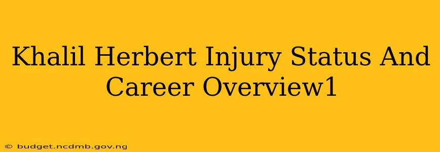 Khalil Herbert Injury Status And Career Overview1