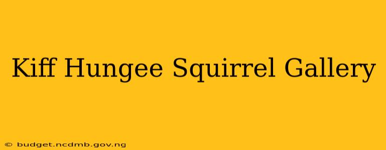 Kiff Hungee Squirrel Gallery
