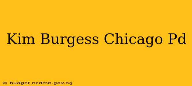 Kim Burgess Chicago Pd