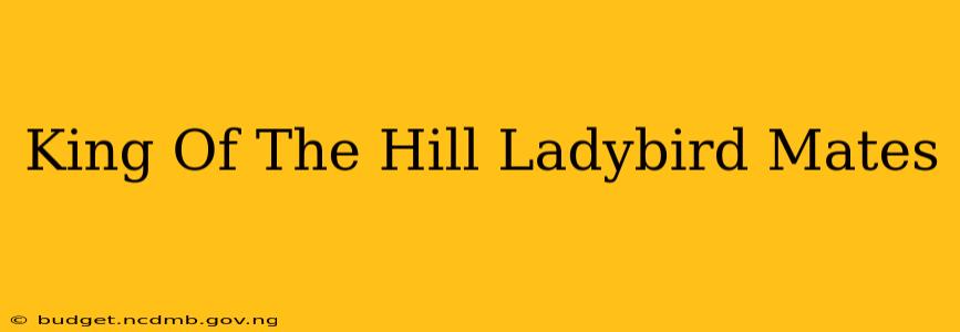 King Of The Hill Ladybird Mates