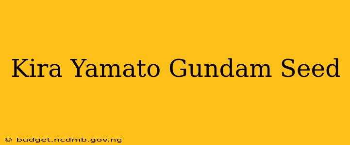 Kira Yamato Gundam Seed