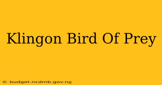 Klingon Bird Of Prey
