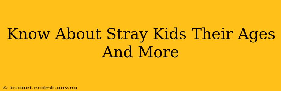Know About Stray Kids Their Ages And More
