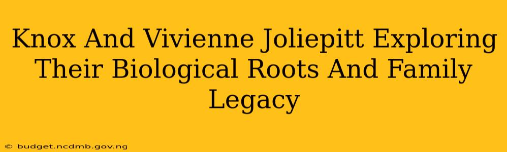 Knox And Vivienne Joliepitt Exploring Their Biological Roots And Family Legacy