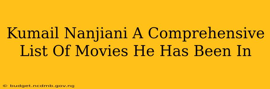 Kumail Nanjiani A Comprehensive List Of Movies He Has Been In