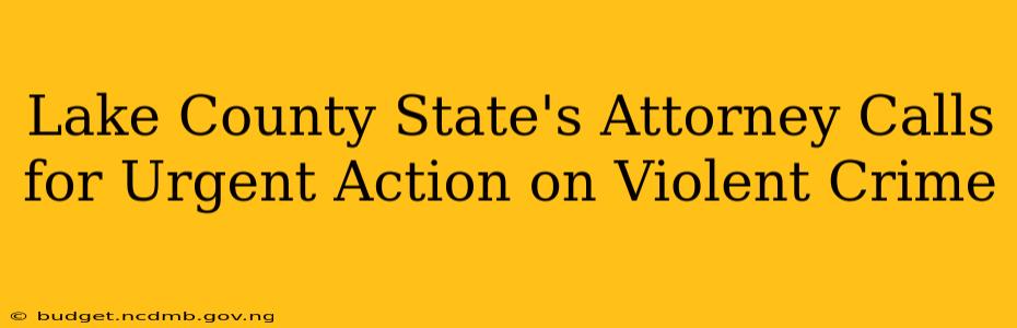 Lake County State's Attorney Calls for Urgent Action on Violent Crime