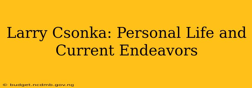 Larry Csonka: Personal Life and Current Endeavors