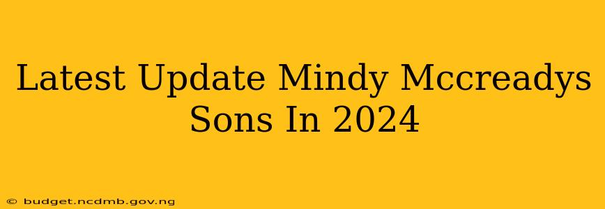 Latest Update Mindy Mccreadys Sons In 2024