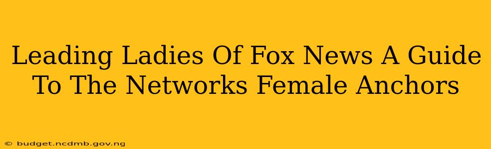 Leading Ladies Of Fox News A Guide To The Networks Female Anchors