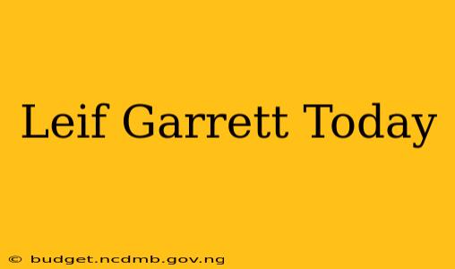 Leif Garrett Today