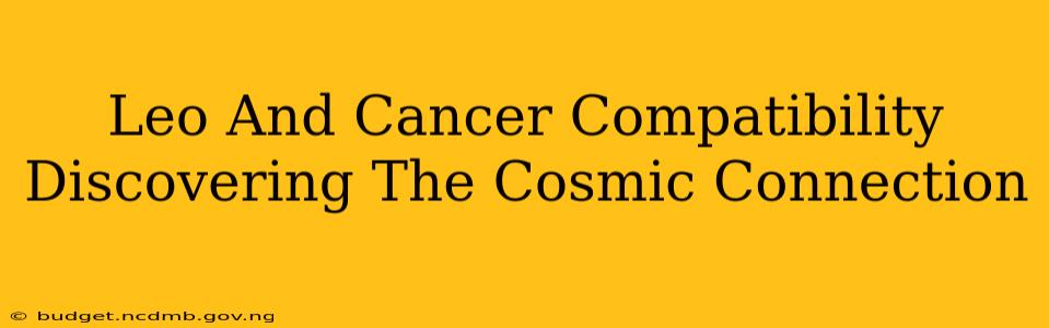 Leo And Cancer Compatibility Discovering The Cosmic Connection