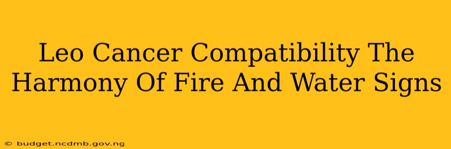 Leo Cancer Compatibility The Harmony Of Fire And Water Signs