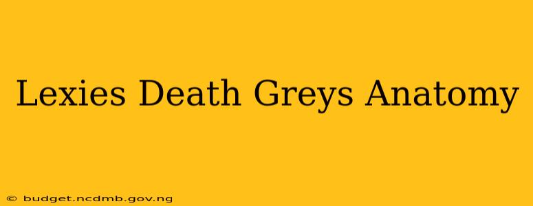 Lexies Death Greys Anatomy